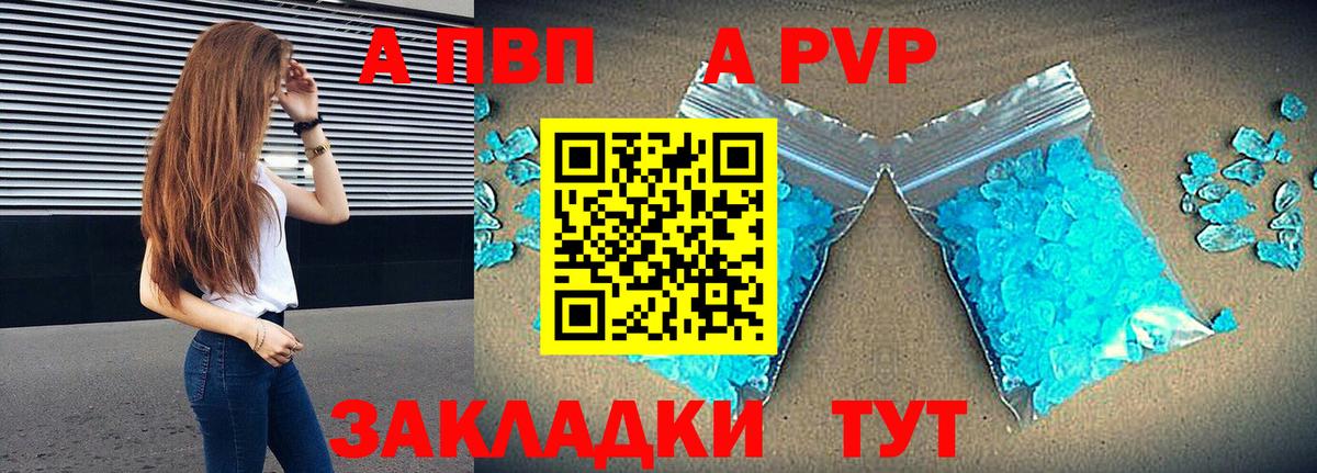 A PVP СК КРИС Абакан