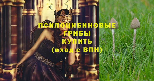 соль ск Осинники