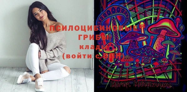 ПСИЛОЦИБИНОВЫЕ ГРИБЫ Абинск