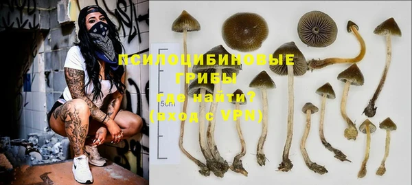 стафф Алексин