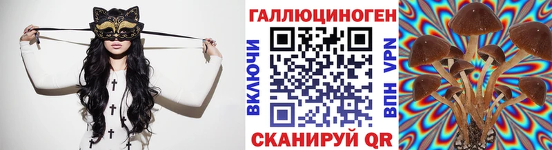 Псилоцибиновые грибы Cubensis  kraken как зайти  Абакан 