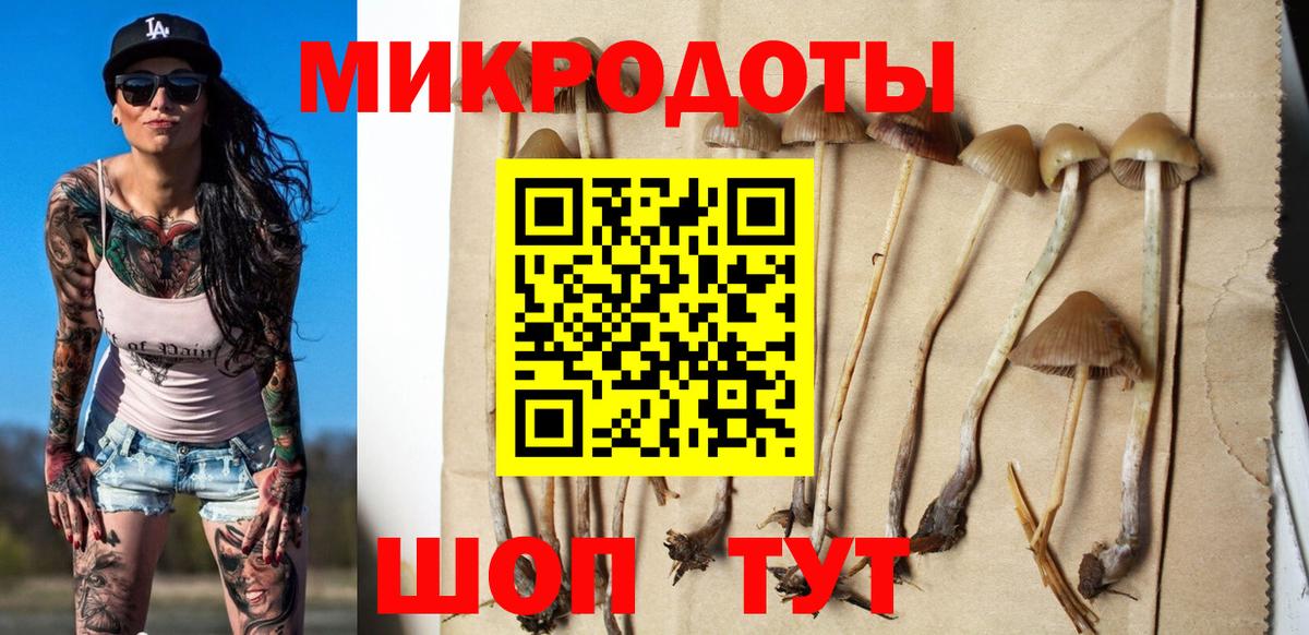 Псилоцибиновые грибы Magic Shrooms  Вход с VPN  Псилоцибиновые грибы ЛСД  Абакан 